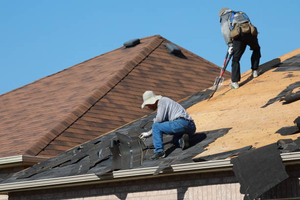 Best Solar Panel Roofing Installation  in Maxton, NC